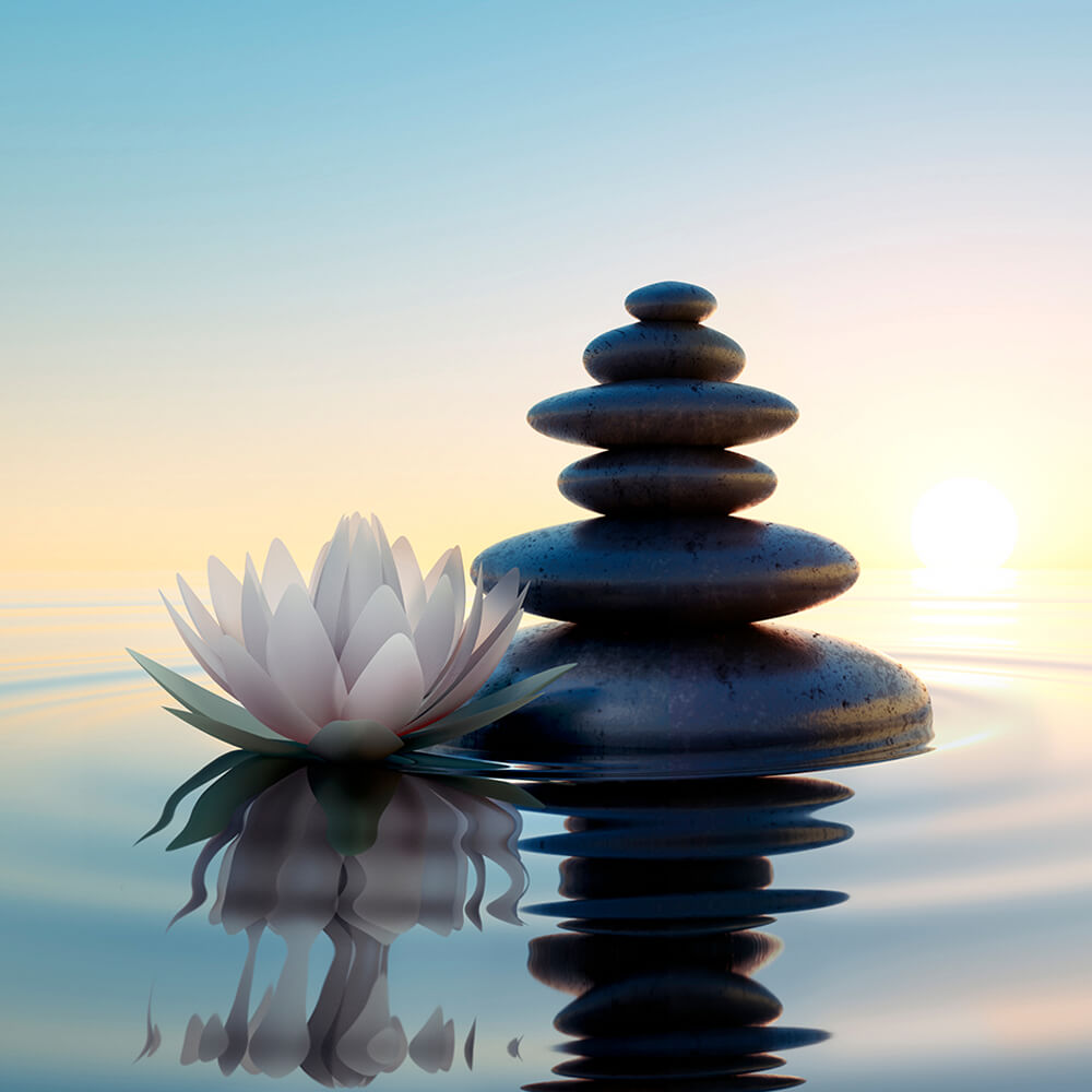 Nano Soma Health Supplement